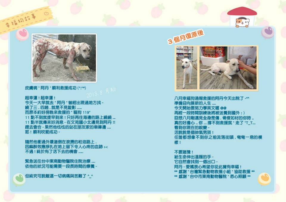 筆記本中穿插著幸福狗流浪中途救援、送養成功的小故事,照片中的阿丹透過台灣緊急救援小組的幫助,已經被送養至國外幸福生活。黃怡蓓/提供
