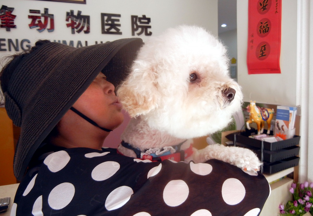 寵物醫療費用高昂,中國也推出寵物醫療險。 中新社