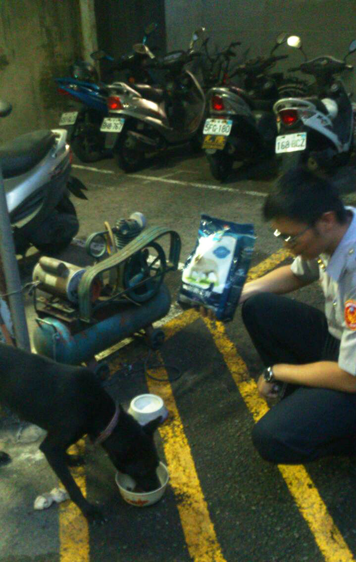 小黑似乎被虐待過,不太親人,尤其討厭有人拿著牽繩靠近牠,但對餵飯的人還算友善。 謝明翰/提供