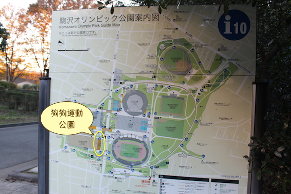 狗狗運動公園設置面積為1200平方公尺，裡頭分為大型犬與小型犬區，對狗狗來說空間綽綽有餘。 何宜/攝