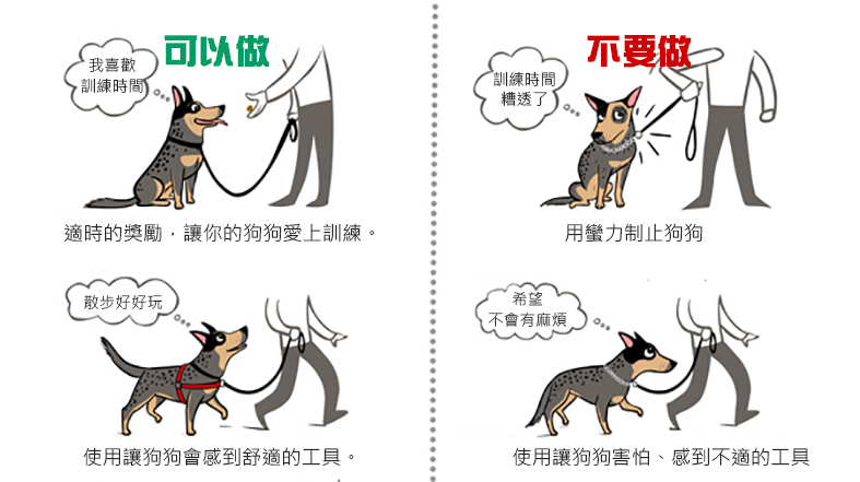 訓練時的注意事項。　取自East Bay Dog Trainers，記者翻譯