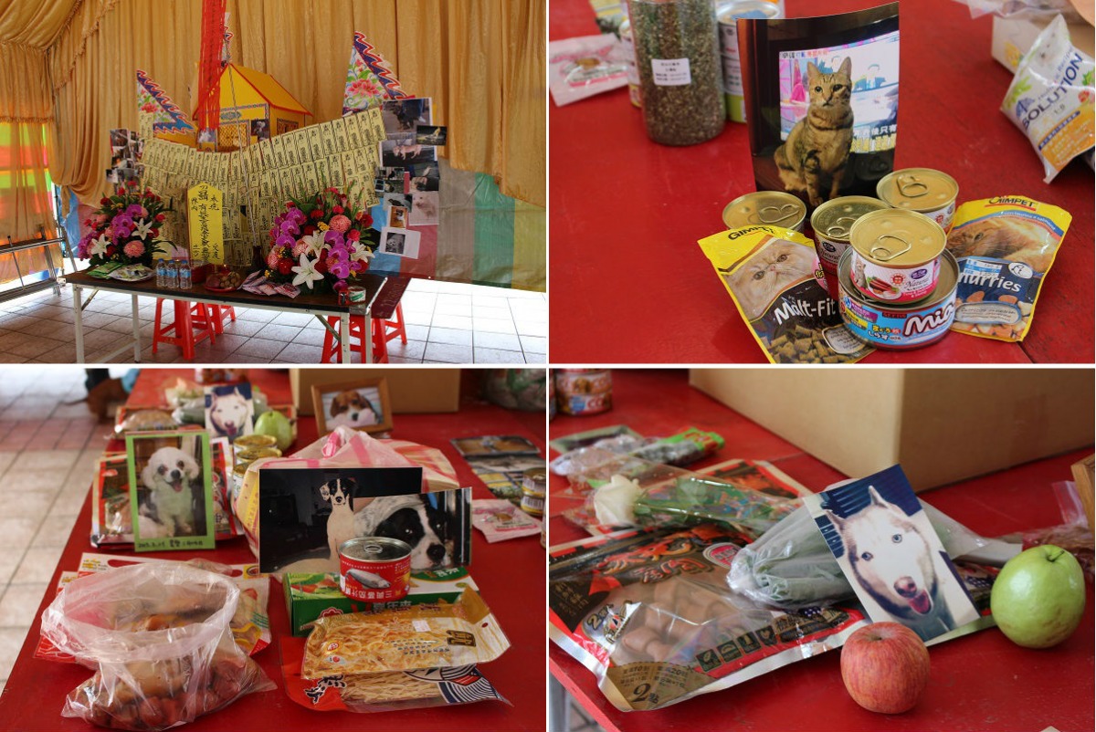 飼主帶著過世寵物的照片牠們生前愛吃的食物前來祭祀。 李娉婷/攝