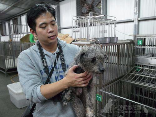 協會每周都會到基隆寵物銀行帶回流浪動物照顧。 流浪動物花園協會/提供