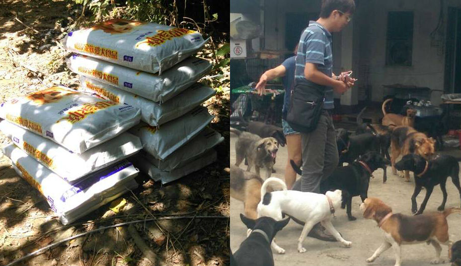 高雄市動保處捐贈15公斤的飼料10包，並協助志工遷移林伯的狗狗至新家。　陳艾瑪/提供