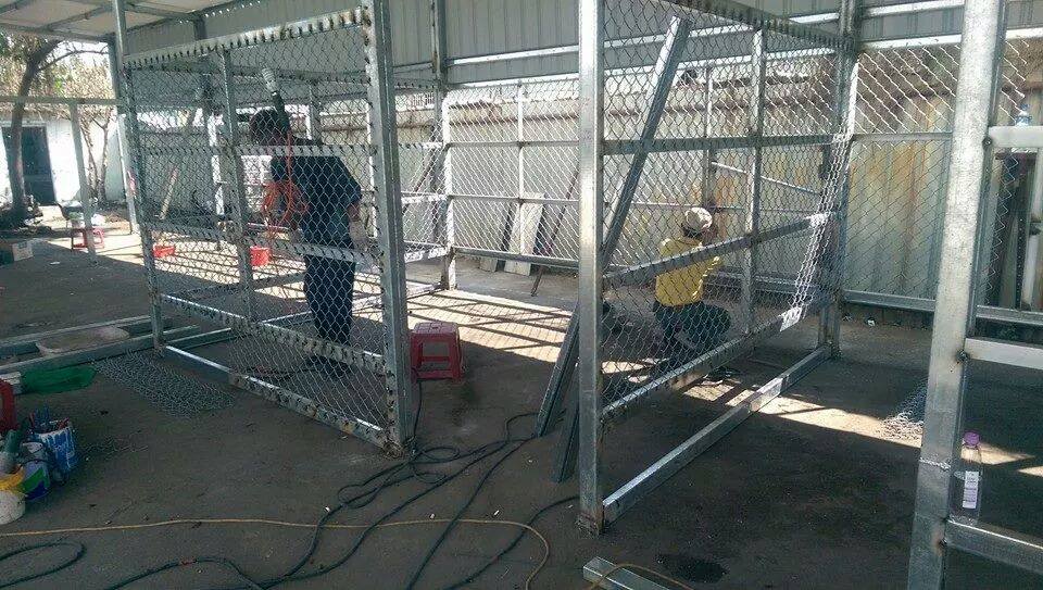 為了安置林伯的狗狗們,快樂寶貝窩緊急施工增加狗舍。 陳艾瑪/提供