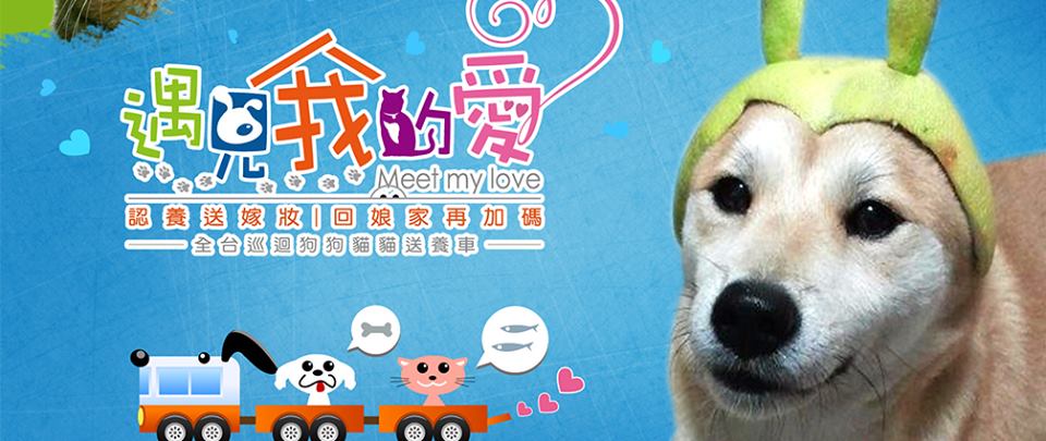 遇見我的愛活動開跑4個月,送養車終於開到南台灣了! 取自遇見我的愛臉書