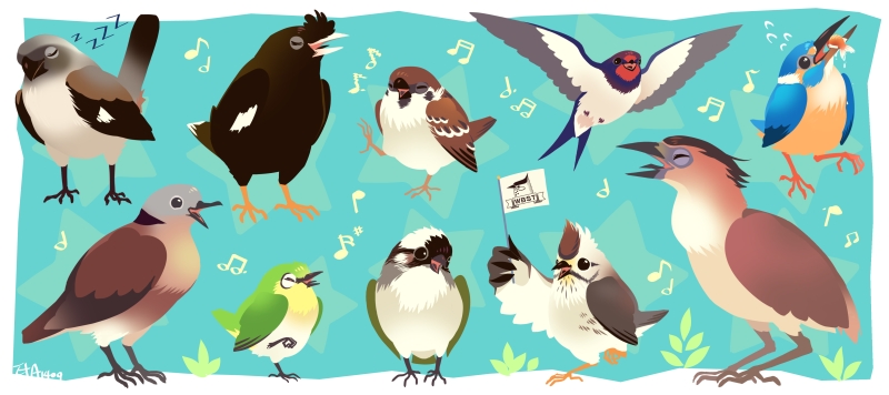 台北鳥會與鳥類插畫家合作,製作精緻的產品回饋捐款民眾。 取自webackers募資平台