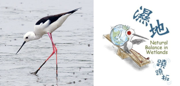 活動主題「濕地蹺蹺板」意在帶領民眾探討濕地生態平衡的重要性，高蹺鴴為濕地保育有成的代言鳥。 取自關渡自然公園、台北鳥會