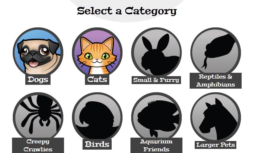 目前網站上只開放貓狗，不過看這個排版，其他種寵物的飼主也可以期待！　網站截圖