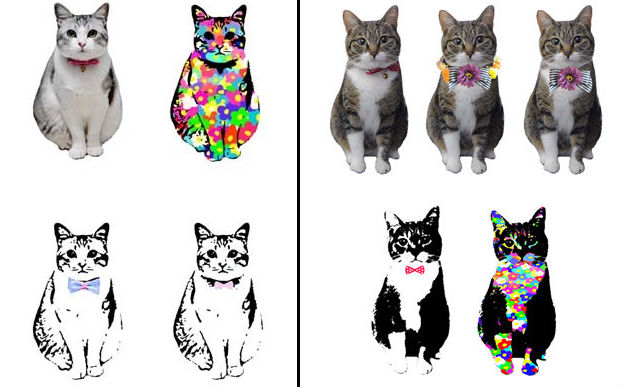 設計師會畫多種款式讓飼主選擇。 取自Leo the Cat Gallery