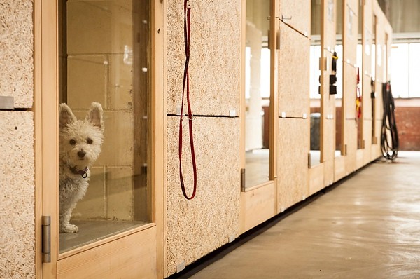 位於瑞士巴塞爾的動物收容所（Tierschutzbeider Basel），犬隻收容數少、有幾隻還是飼主寄養。　取自Mojito部落格
