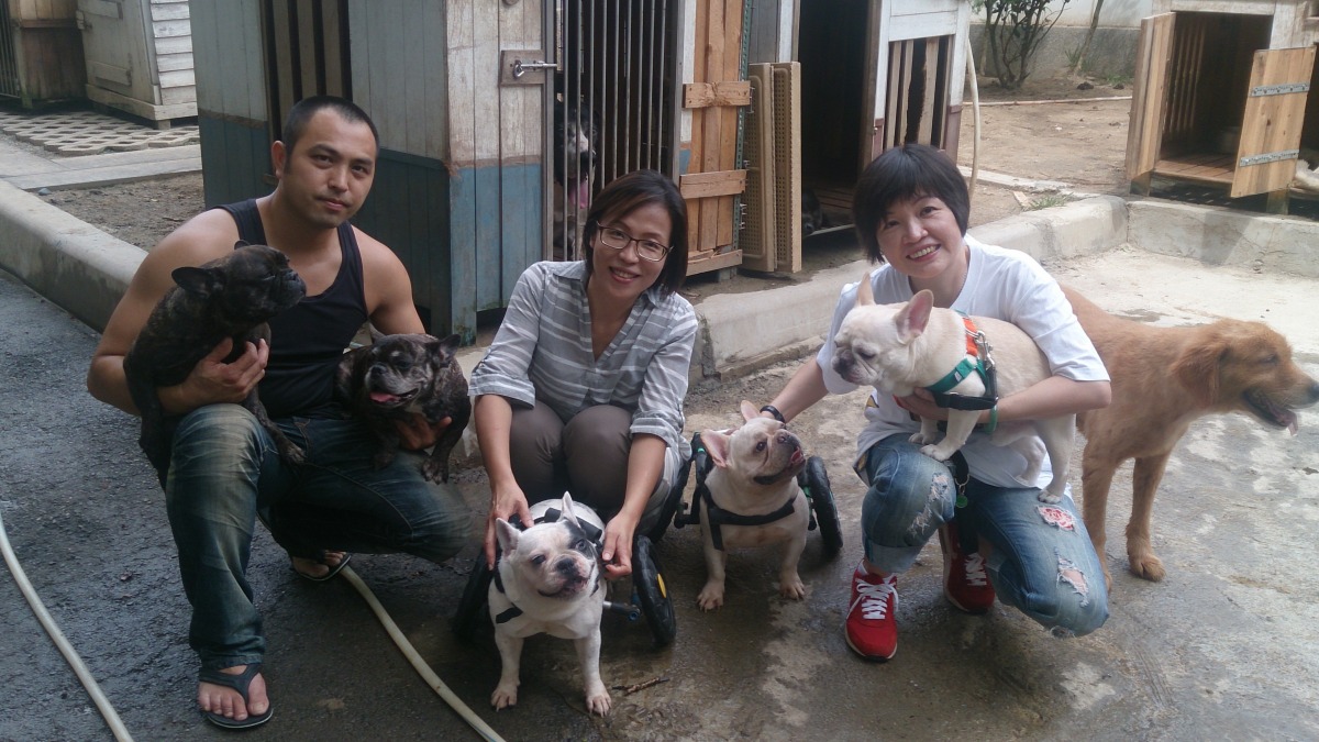 林文鮮(中)與先生劉永慶(左)就住在犬山居中，和這些曾被遺棄、受難的狗狗們共組一個溫暖的家。　犬山居/提供