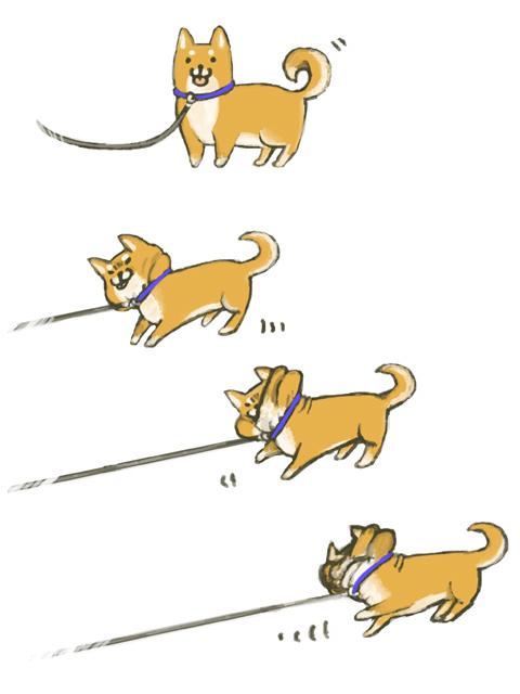 「我不要走!」你家的狗狗突然定在原地嗎,牠可能被什麼吸引住了目光。 取自網路