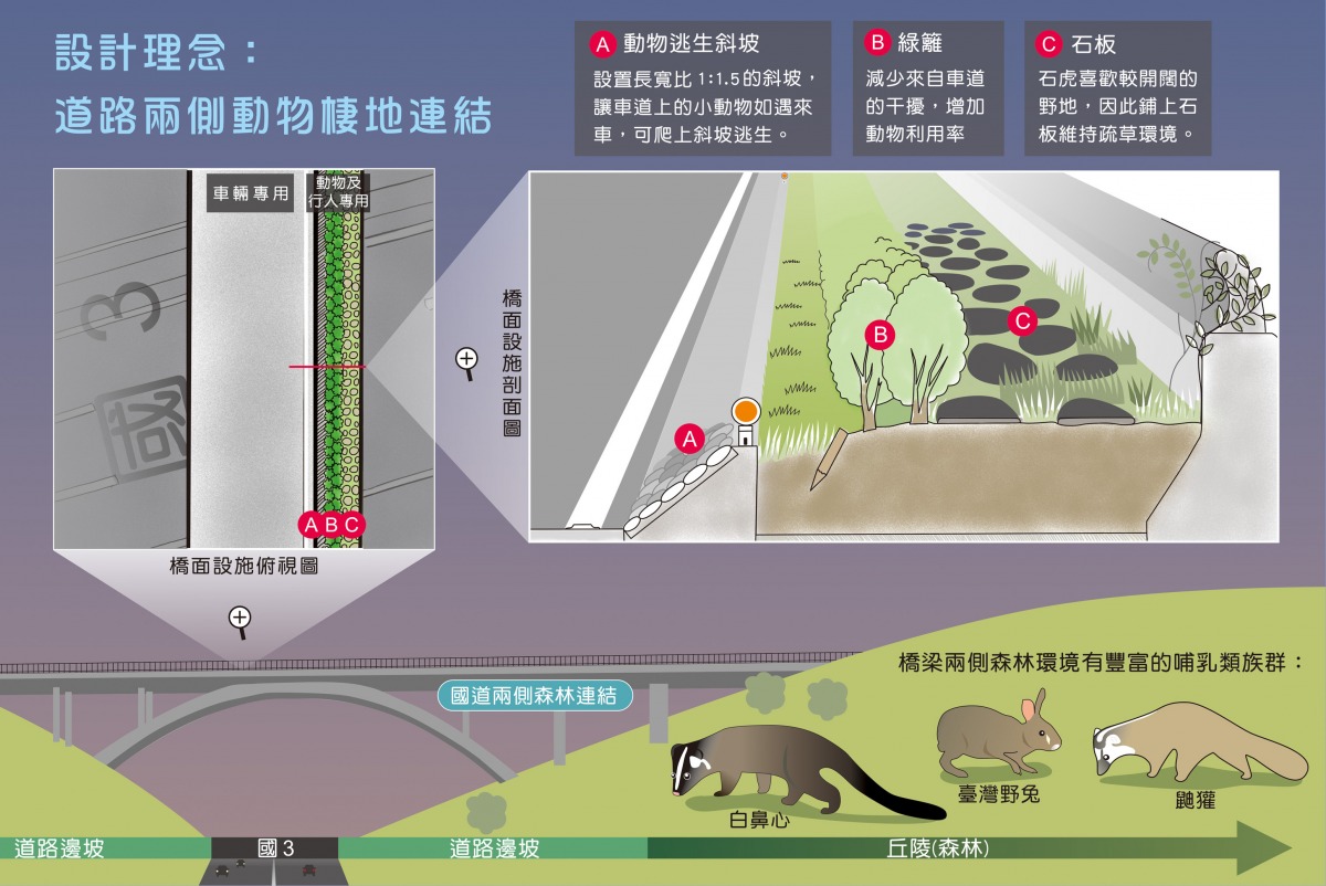 國道3號動物通道設計圖。 觀察家生態顧問有限公司/提供