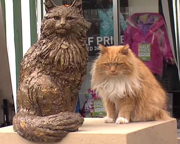 小鎮居民為漢米許的豎起銅像,彰顯牠的地位。 取自網路