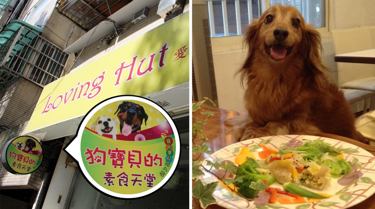 在這間素食餐廳裡，飼主可以和狗寶貝一起用餐。　李娉婷/攝、葉柏君/提供