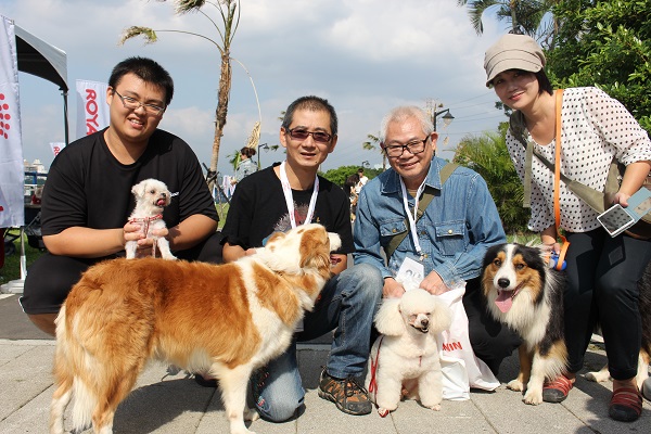 狗友們相約來參加比賽,貴賓狗「何小胖」上過電視,是隻多才多藝的狗狗。 何宜/攝