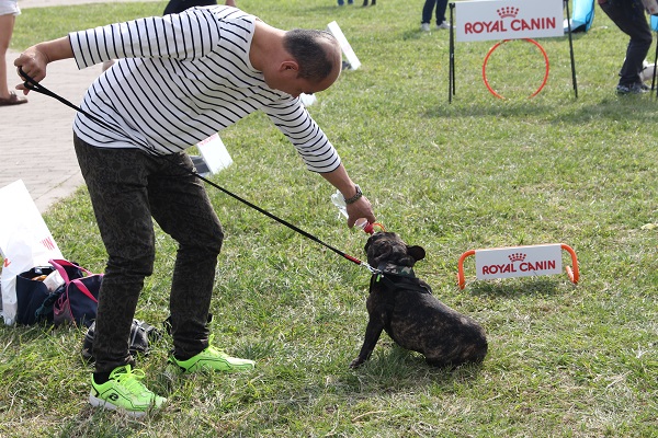 狗狗運動完也要補充水分。 何宜/攝