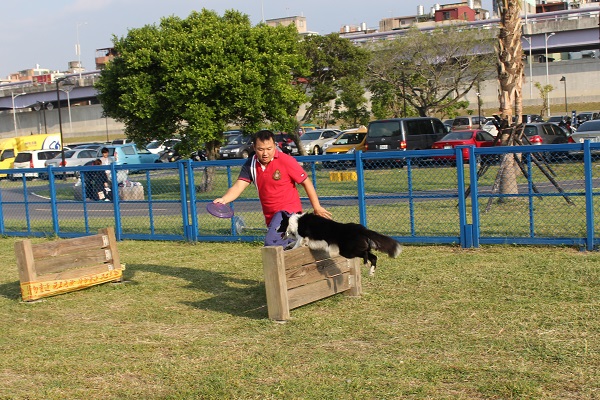 除了現場的比賽,綠寶石公園還有很多運動設施,飼主自己進行會外賽。 李娉婷/攝