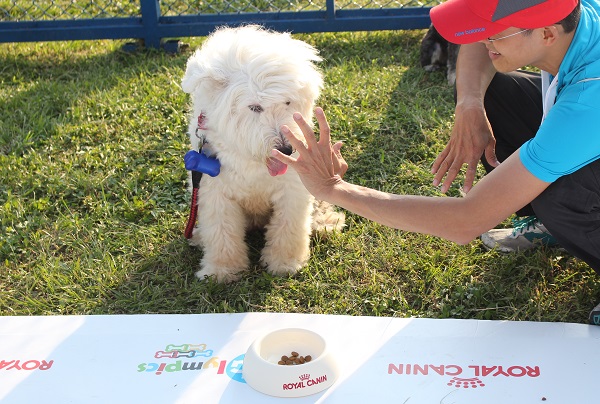 停留比賽,好想吃啊….要停多久呢? 李娉婷/攝