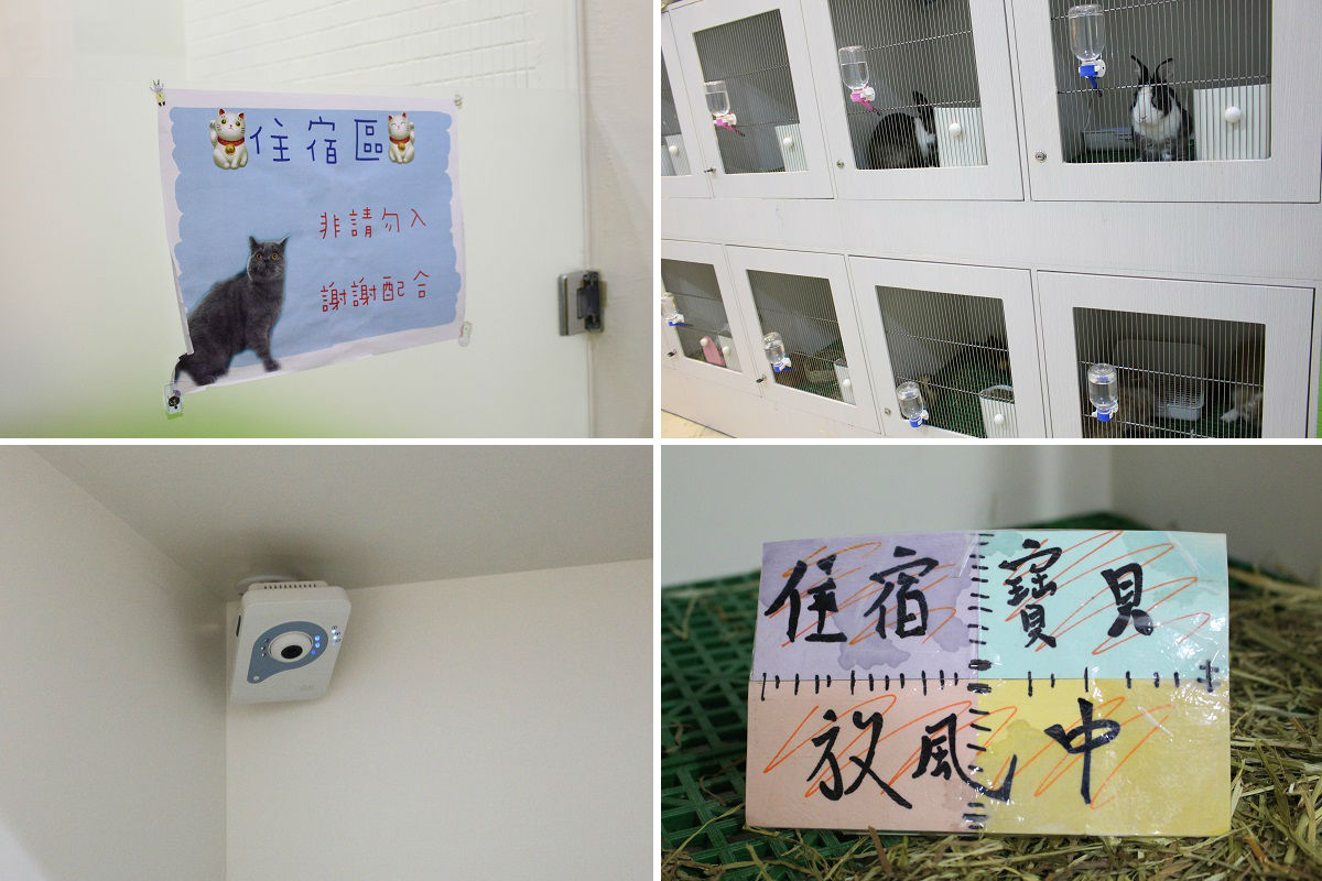 因為貓咪、兔子、天竺鼠較敏感，住宿區設有密碼鎖（過去時常有誤闖的消費者），每間小房間還有攝影鏡頭，毛爸媽可以隨時掌握毛孩狀況。　李娉婷/攝