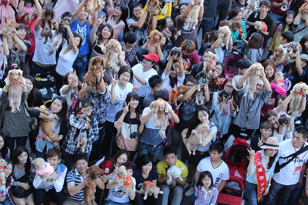 主人們一起舉起小臘腸的場面相當壯觀。　李娉婷/攝