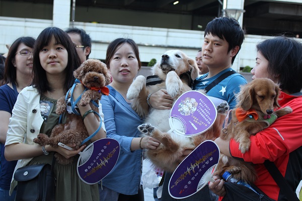 大家都高舉毛孩，黃金獵犬的主人跟進！但是看主人的表情……抱牠不輕鬆呢。　李娉婷/攝