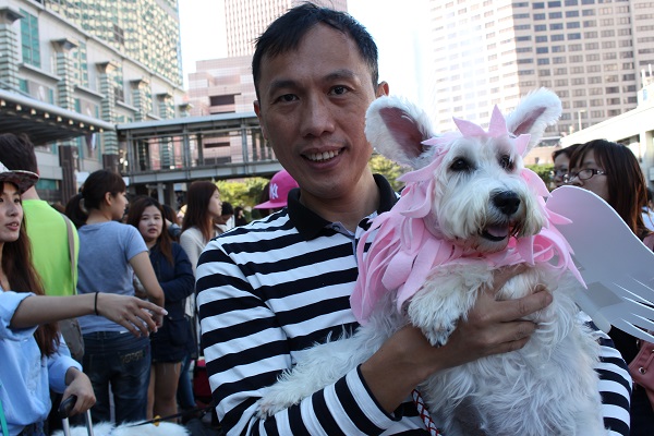 雪納瑞家族有小天使！衣服是爸爸親手做的唷。　李娉婷/攝