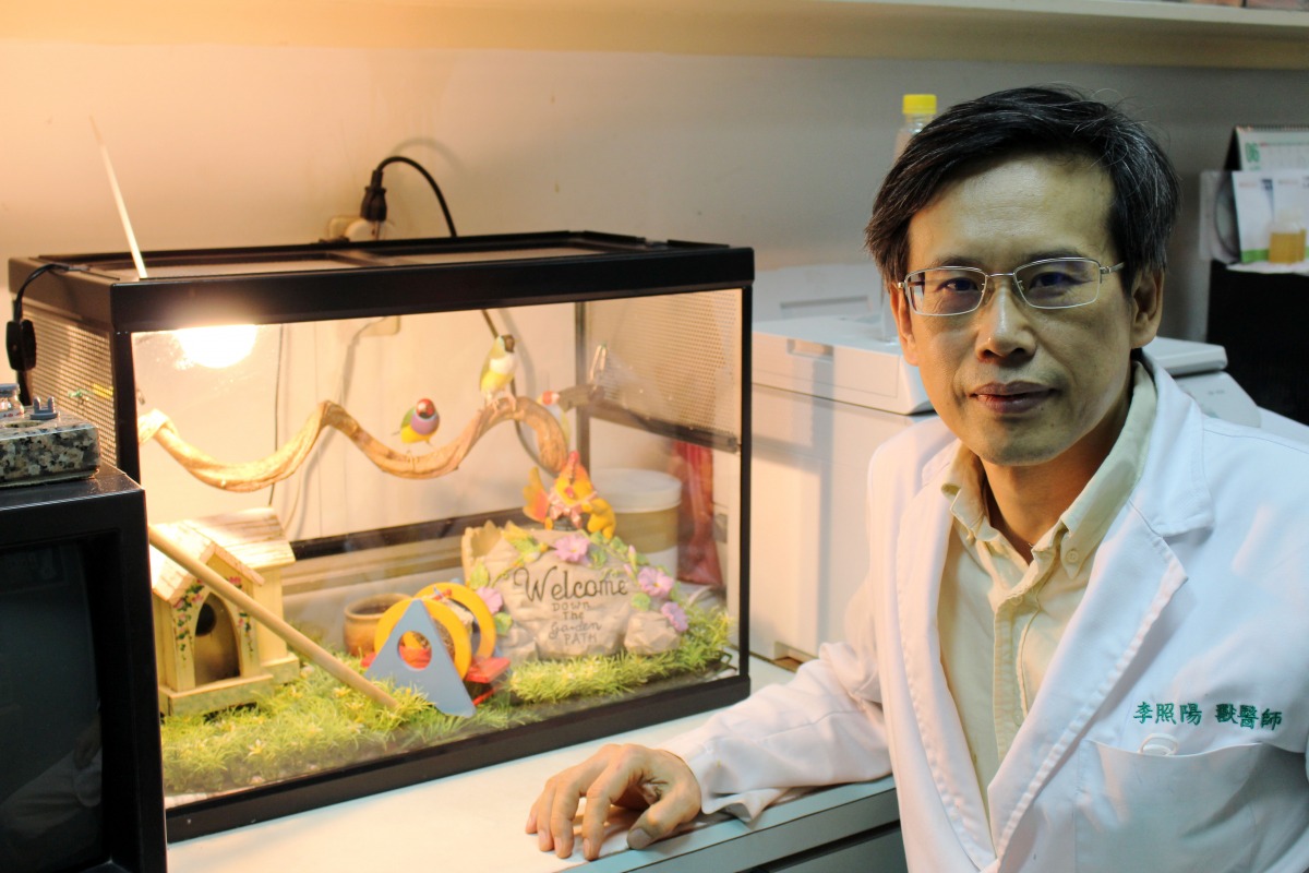 凡賽爾賽鴿寵物鳥醫院的院長李照陽醫師，已經當了29年鳥醫師。 李娉婷/攝