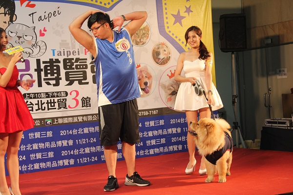 主人模仿拉筋動作，MOMO不會拉筋，只能在一旁觀望奇怪的主人。　李娉婷/攝