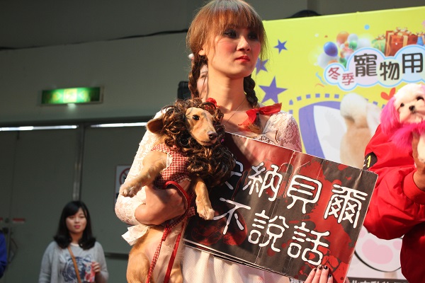 主人舉牌表示安娜貝爾不說話，沒有造型說明，狗狗也偏頭不理，相似度超高。　李娉婷/攝