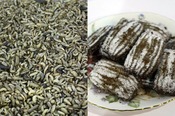 蟲蟲做成的餅乾,吃起來與一般的餅乾沒多少差別。 李娉婷/攝