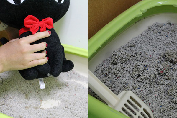 養寵物不美好的部分──清便便,也是體驗的一環。 李娉婷/攝