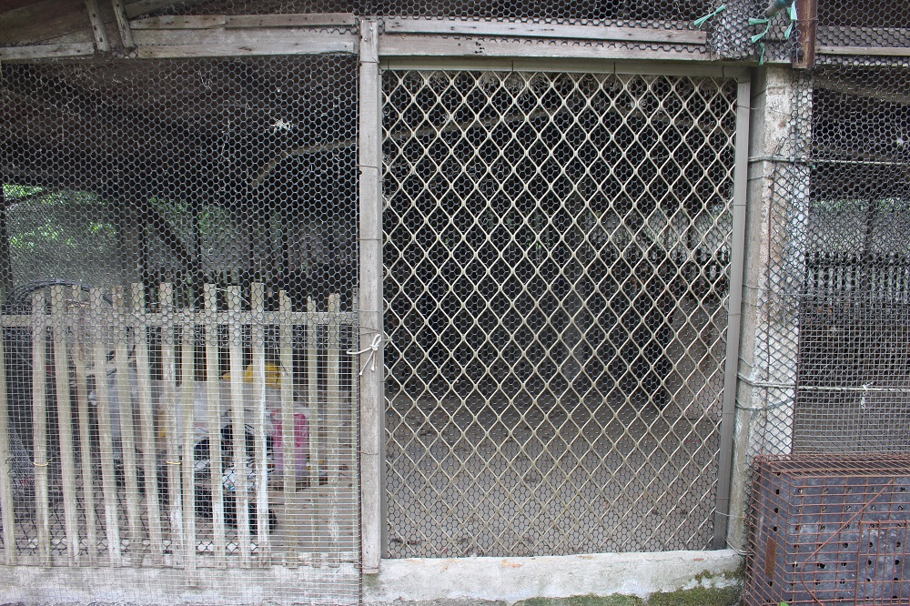 雞舍原先只有木製圍欄，為了防止流浪貓狗進入增加了許多鐵網。 李娉婷/攝