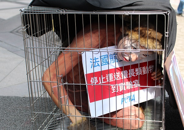 在抗議行動開始前，籠子被蓋上黑布，更符合猴子在密閉、黑暗的飛機貨艙中的感覺。　李娉婷/攝