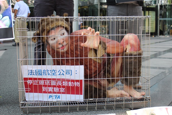 羅丹表示籠內空間狹窄，幾乎無法移動四肢，實驗猴在被運送的途中還要經歷黑暗、空氣不流通、沒有水與食物等更多痛苦。　李娉婷/攝