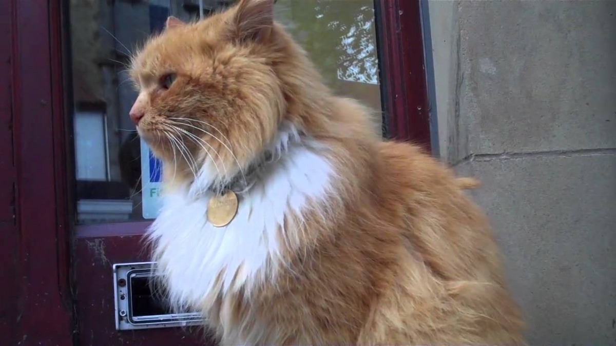 漢米許熱愛漂泊,有著遊牧民族的性格。 取自網路