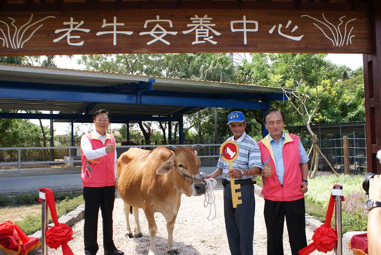 彰化縣長卓伯源(左)與農業處長郭丑哲(右)主持老牛安養中心剪綵啟用儀式。 彰化縣農業處/提供