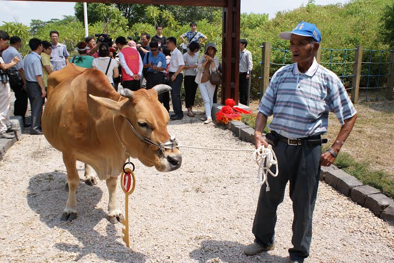 彰化縣老牛安養中心的第一號住客與飼主。 彰化縣農業處/提供
