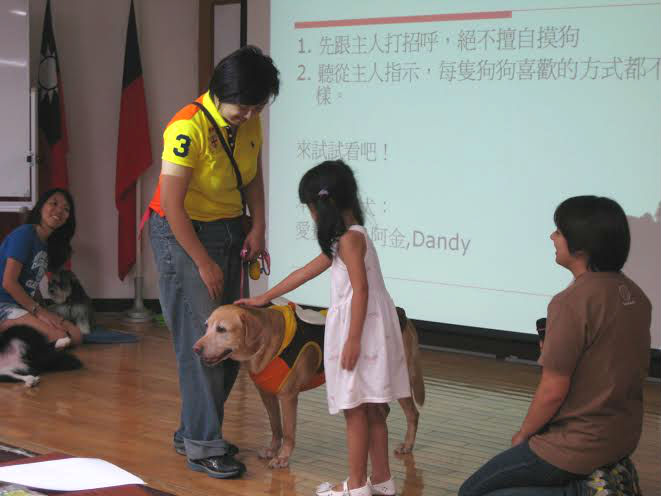 小學員與狗狗互動，學習正確面對狗狗的態度及方法。 台北市動保處/提供