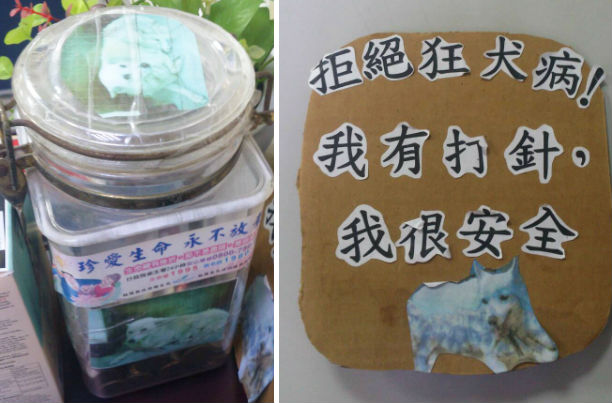 派出所內有小白專用的的洗澡基金罐,去年狂犬病疫情爆發時員警還特地為小白做安全告示牌。 謝明翰/提供