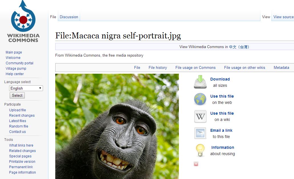 維基共享資源(Wikimedia Commons)中提供照片下載。 網站截圖