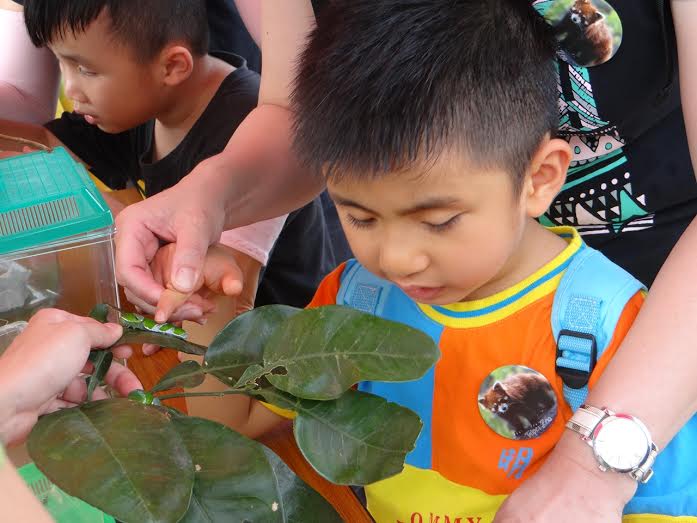 透過觸摸的方式讓啟明學校的小朋友認識動物。 台北市立動物園/提供