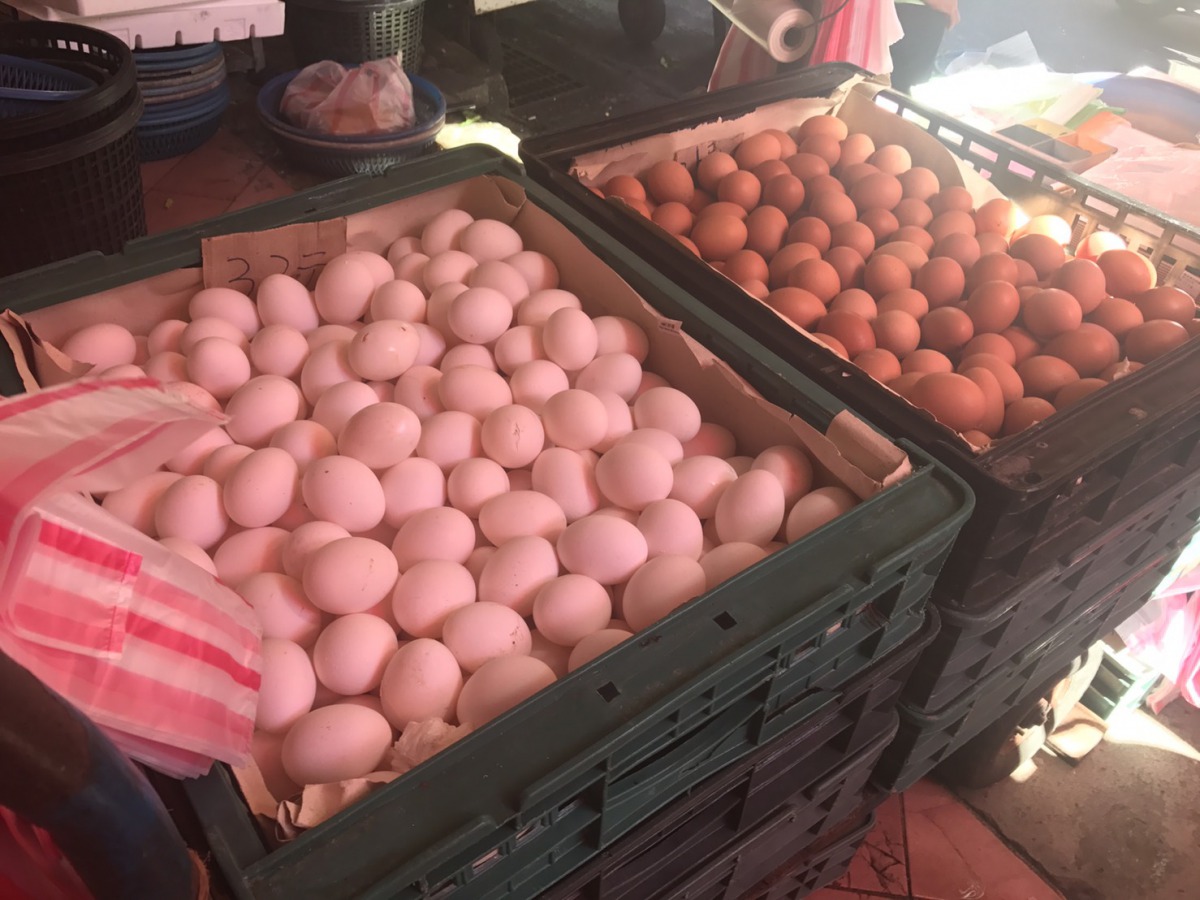 政府嚴格把關雞蛋中的芬普尼殘留量，讓民眾可以放心購買、放心吃下肚。  姚崇仁/攝