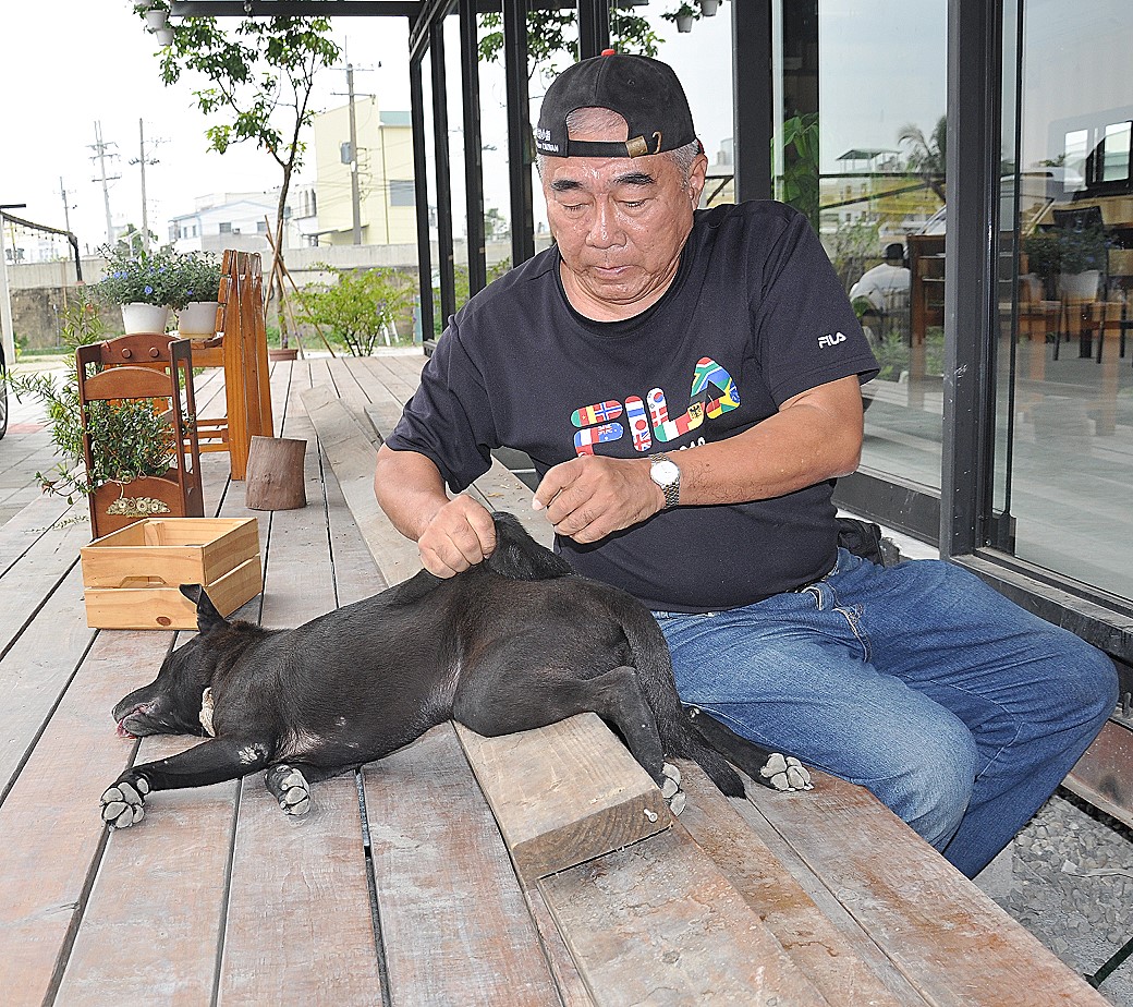 台南日前有一隻流浪狗受困在木造砧板裡面，熱心店家與救援小組合力將小狗救出。 台灣動物緊急救援小組/提供