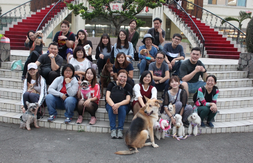 社團法人中華民國保護動物協會舉辦動保志工聯誼活動,志工們帶著毛小孩一起度過悠閒的假日時光。 姚崇仁/攝