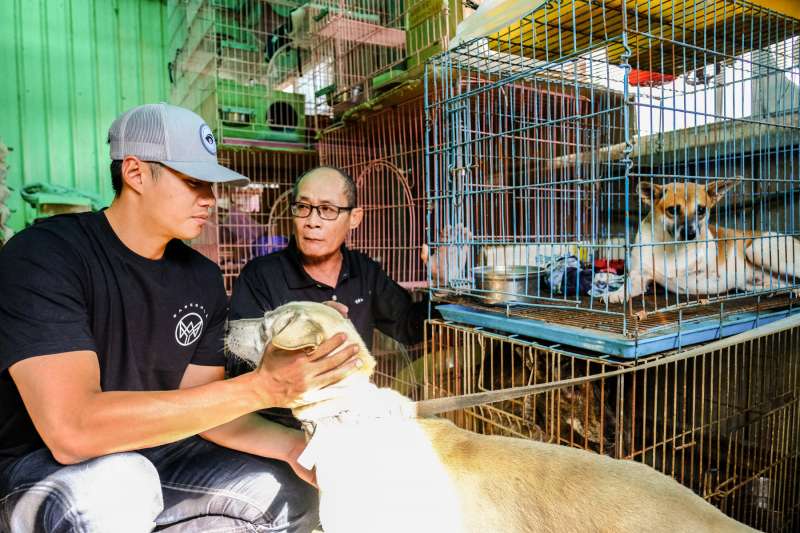 旅美投手陳偉殷前往「徐春水流浪動物之家」與「徐爸」徐春水討論國內所面臨到的流浪動物議題。 國泰金控/提供