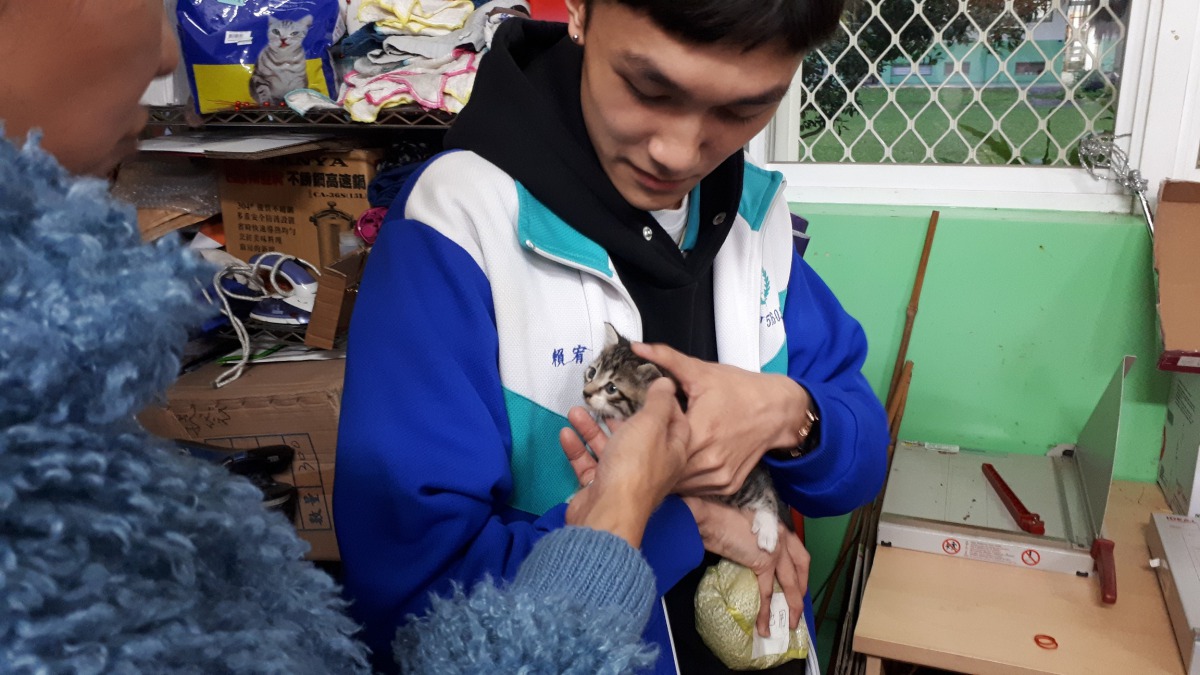 透過教育部的補助計畫，羅東高商認養校貓「咪將」讓原本的流浪動物獲得更好的照顧。 教育部/提供