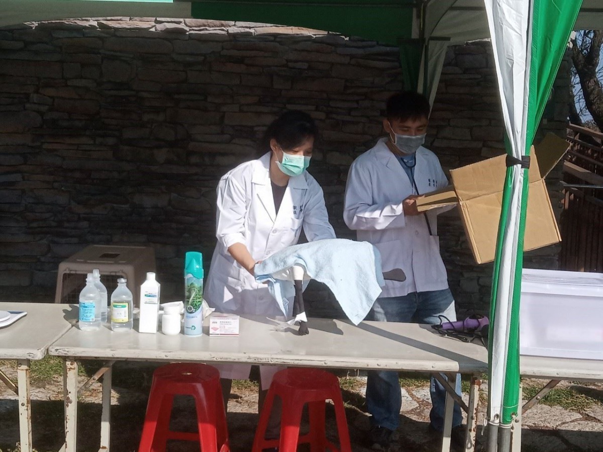 嘉義縣政府舉辦濕地大量傷鳥救援演練。 嘉義縣政府/提供