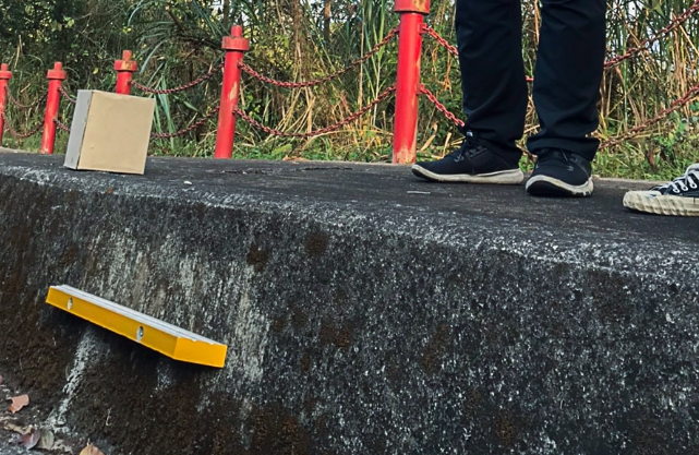 暨南大學機車道兩旁因為高度過高,導致穿山甲無法攀爬,因此校方設置了階梯。 暨南大學/提供